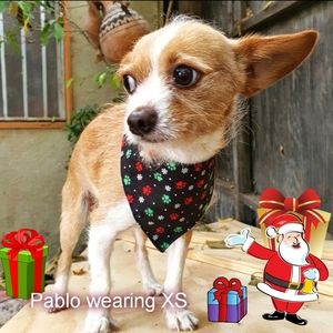 š¶ 3 for $15 * Pablo Christmas Snap Dog Paw Bandana